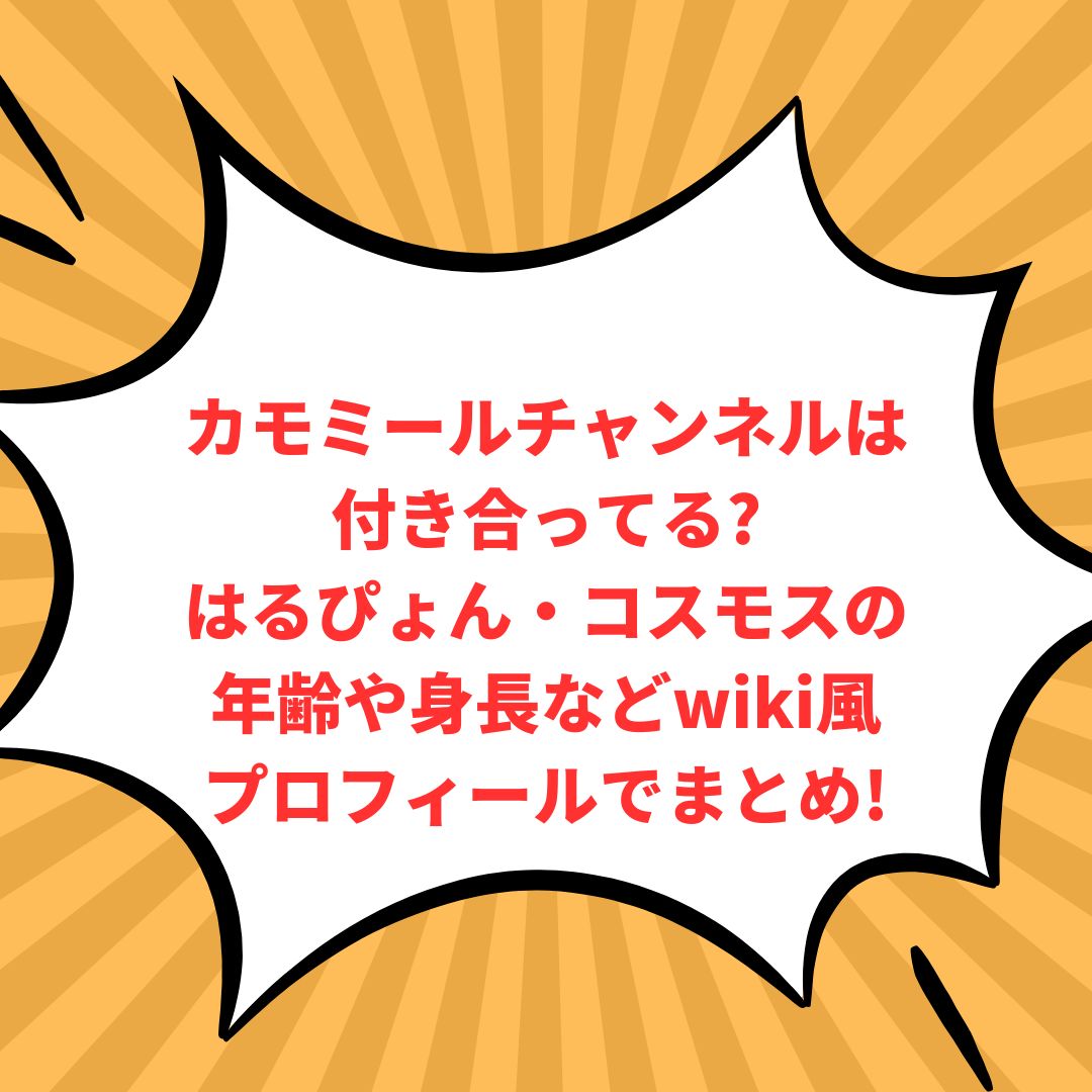 カモミールチャンネルのプロフィール情報などをお伝えしています